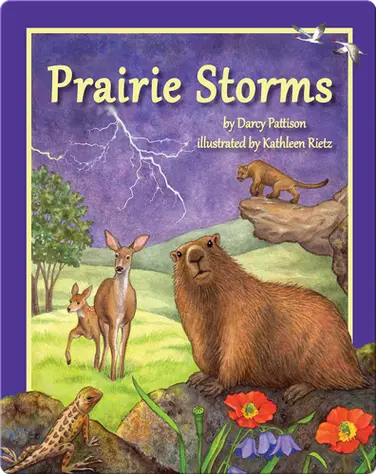 Prairie Storms book