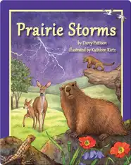 Prairie Storms