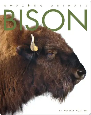 Bison book