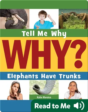 Elephants Have Trunks book