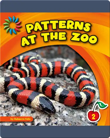 Patterns At The Zoo book