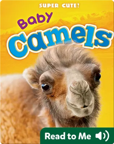 Super Cute! Baby Camels book
