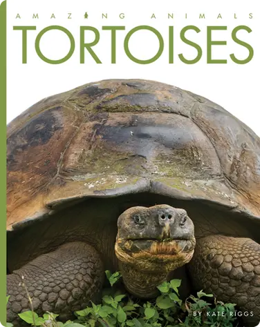 Tortoises book