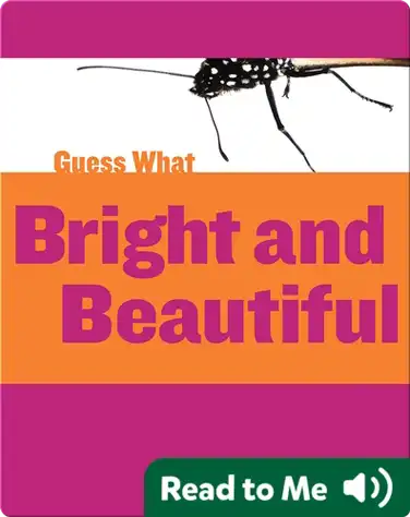 Bright and Beautiful book
