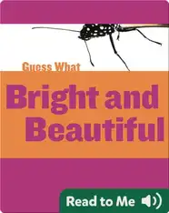 Bright and Beautiful