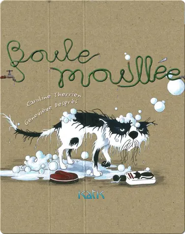 Boule mouillée book