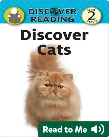 Discover Cats book