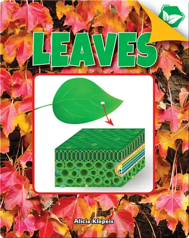 Leaves book