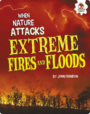 Extreme Fires and Floods book