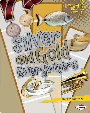 Silver and Gold Everywhere book