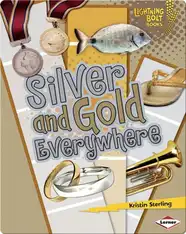 Silver and Gold Everywhere