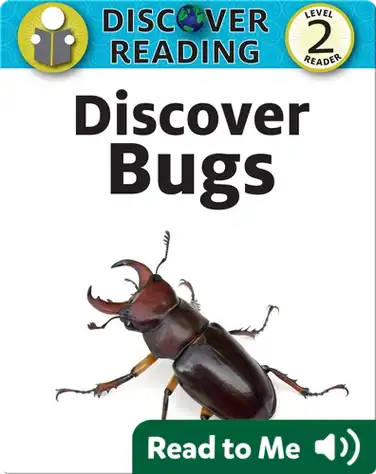 Discover Bugs book