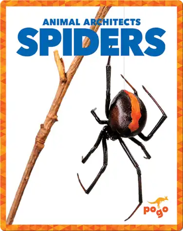 Spiders book