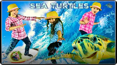 Sea Turtle Adventure! All About Sea Turtles! book