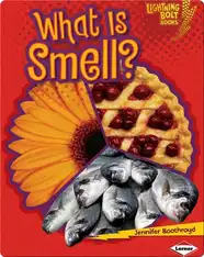 What Is Smell?