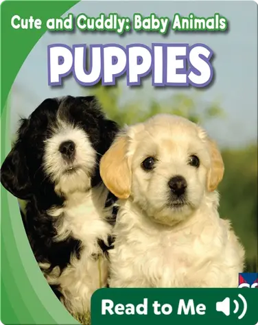Cute and Cuddly: Puppies book