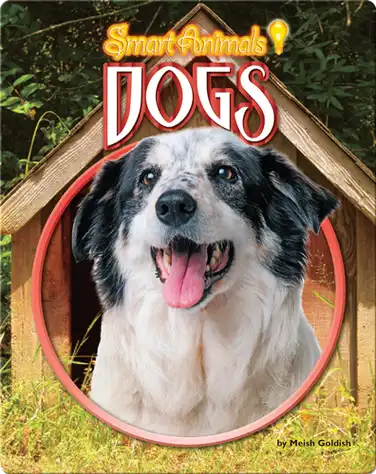 Dogs book