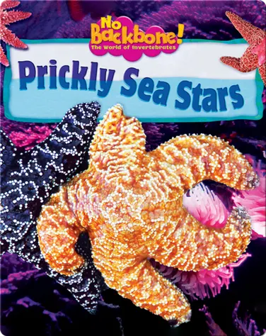 Prickly Sea Stars book
