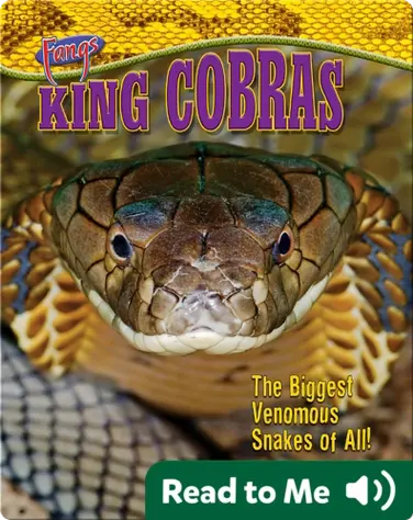 King Cobras: The Biggest Venomous Snakes of All! book