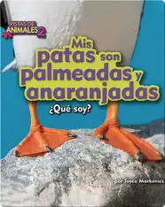 Mis patas son palmeadas y anaranjadas (puffin)