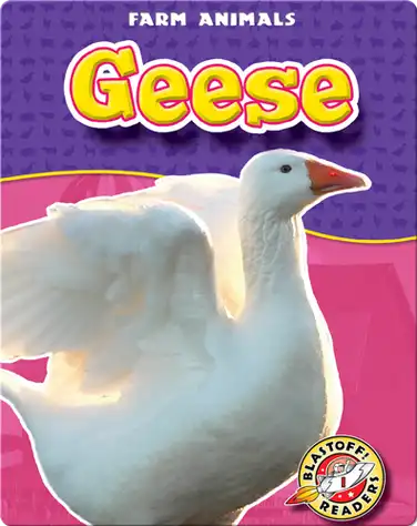 Geese book