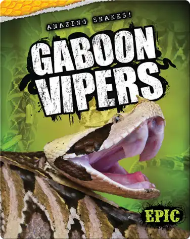 Gaboon Vipers book