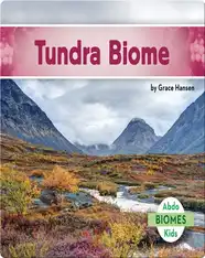Tundra Biome
