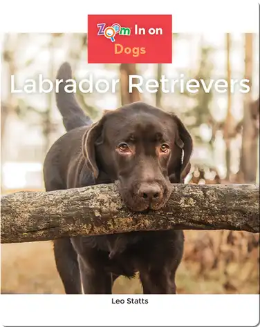 Labrador Retrievers book
