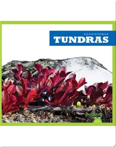 Tundras (Tundras) book