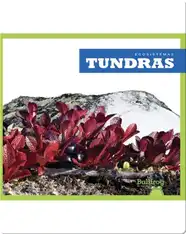 Tundras (Tundras)