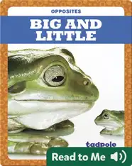 Big and Little