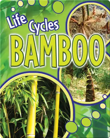 Bamboo book