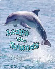 Leaps and Bounds