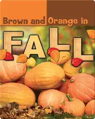 Brown and Orange in Fall