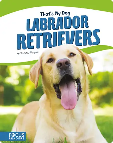 Labrador Retrievers book