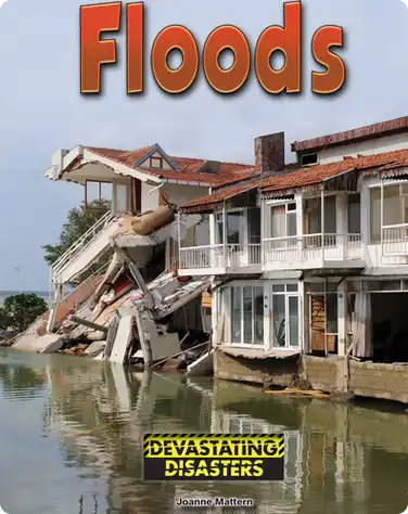 Floods book