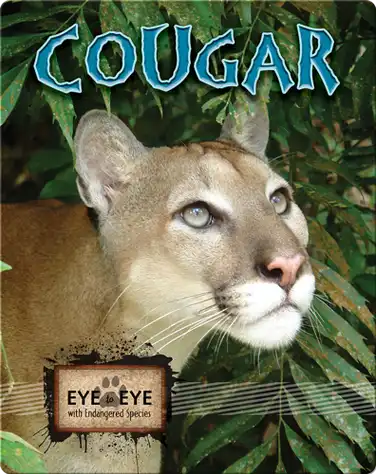 Cougars book