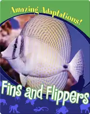 Fins and Flippers
