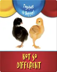 Not So Different