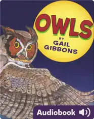 Owls