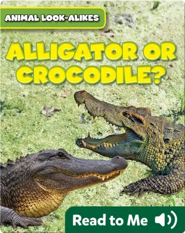 Alligator or Crocodile? book