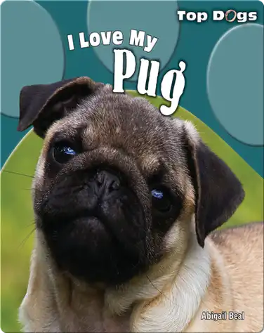 I Love My Pug book