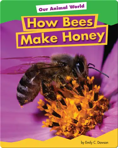 How Bees Make Honey book