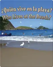 Quien Vive En La Playa?  (Who Lives At The Beach?)