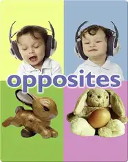 Opposites