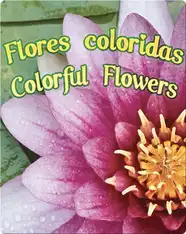 Flores Coloridas  (Colorful Flowers)