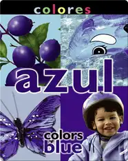 Colores: Azul (Colors: Blue)