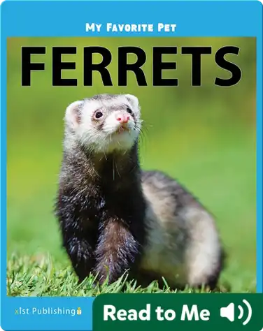 My Favorite Pet: Ferrets book