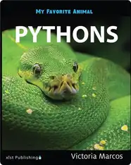 My Favorite Animal: Pythons