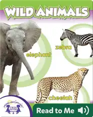 Wild Animals
